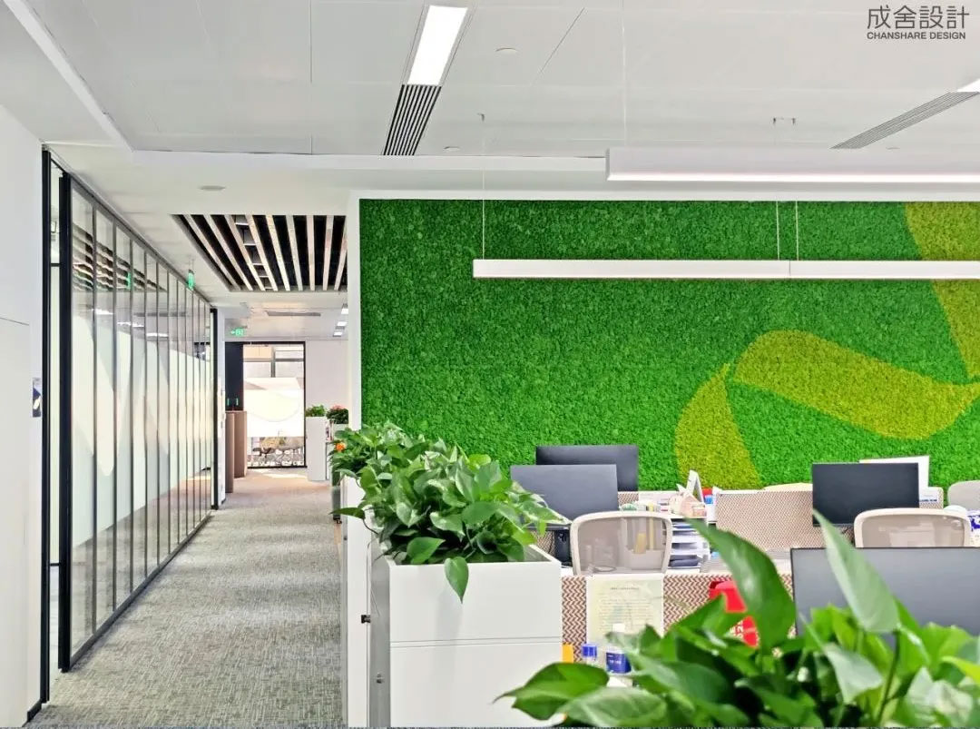 办公绿化-常州品牌装修公司 办公绿化-常州品牌装修公司
