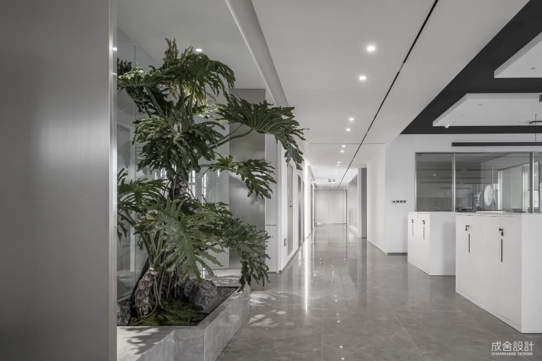 660175798834082.jpg 4.jpg